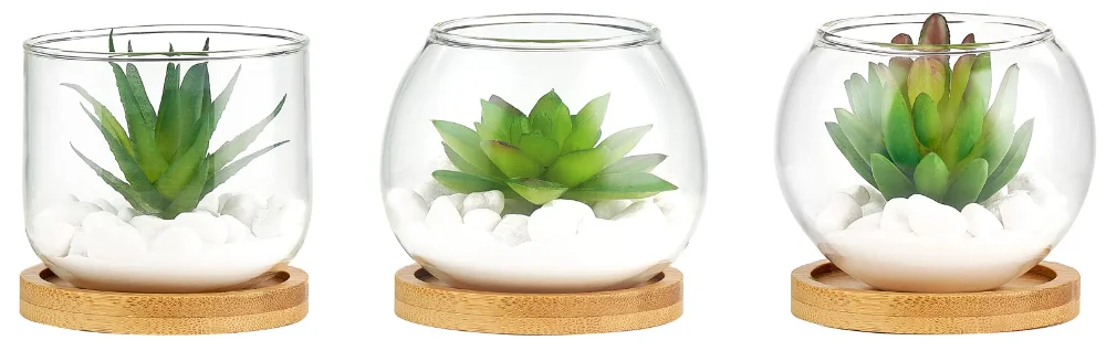 Artificial Succulent in Clear Glass