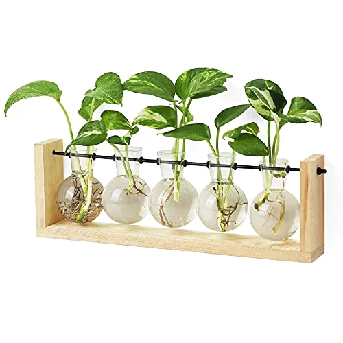 Plant Propagation Station, Beige