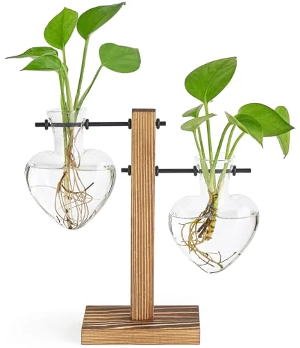 Propagation Stations, Clear