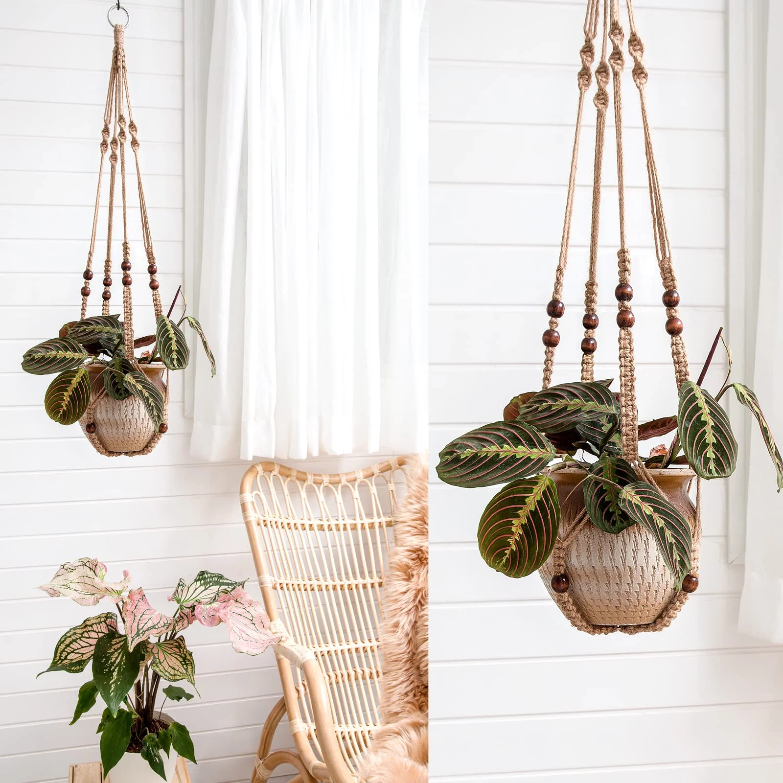 Plant hangers, wall pots and the stands that take the weight