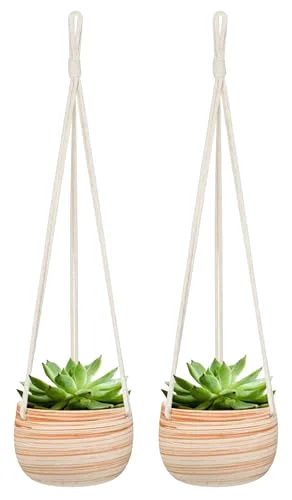 Ceramic Hanging Planter Macrame Plant, 5 in, 2-pack