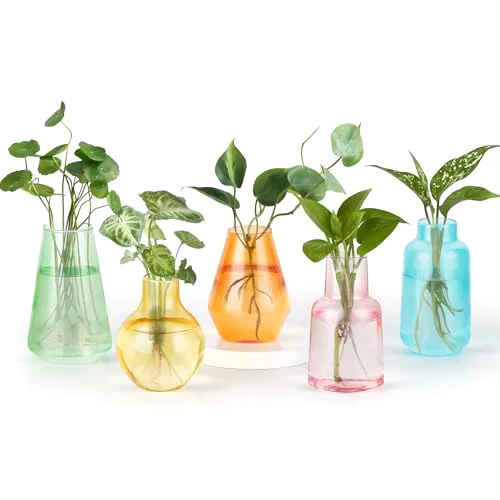 Propagation Vase 5 Glass Jars