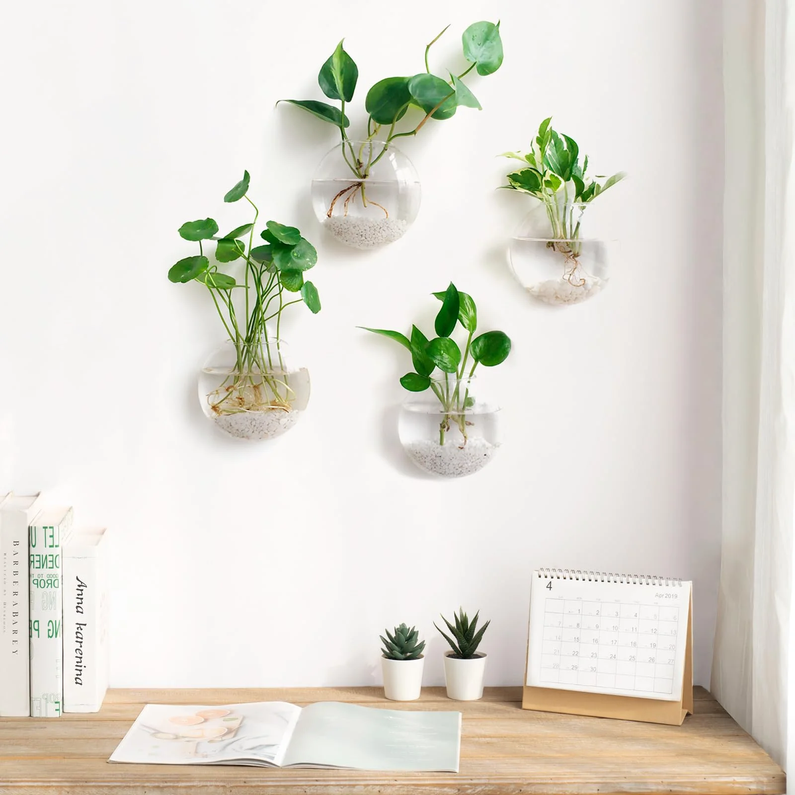 Four wall propagation planters over a desk