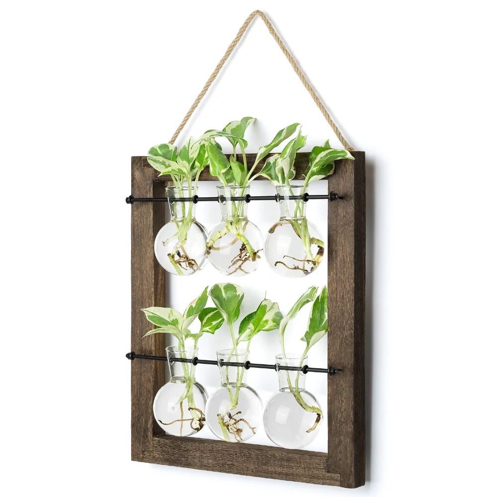 Plant Propagation Station, Brown