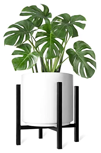 Plant Stand, 12 in, Black