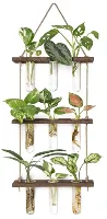 Plant Propagation Station, 3 tiers, Brown