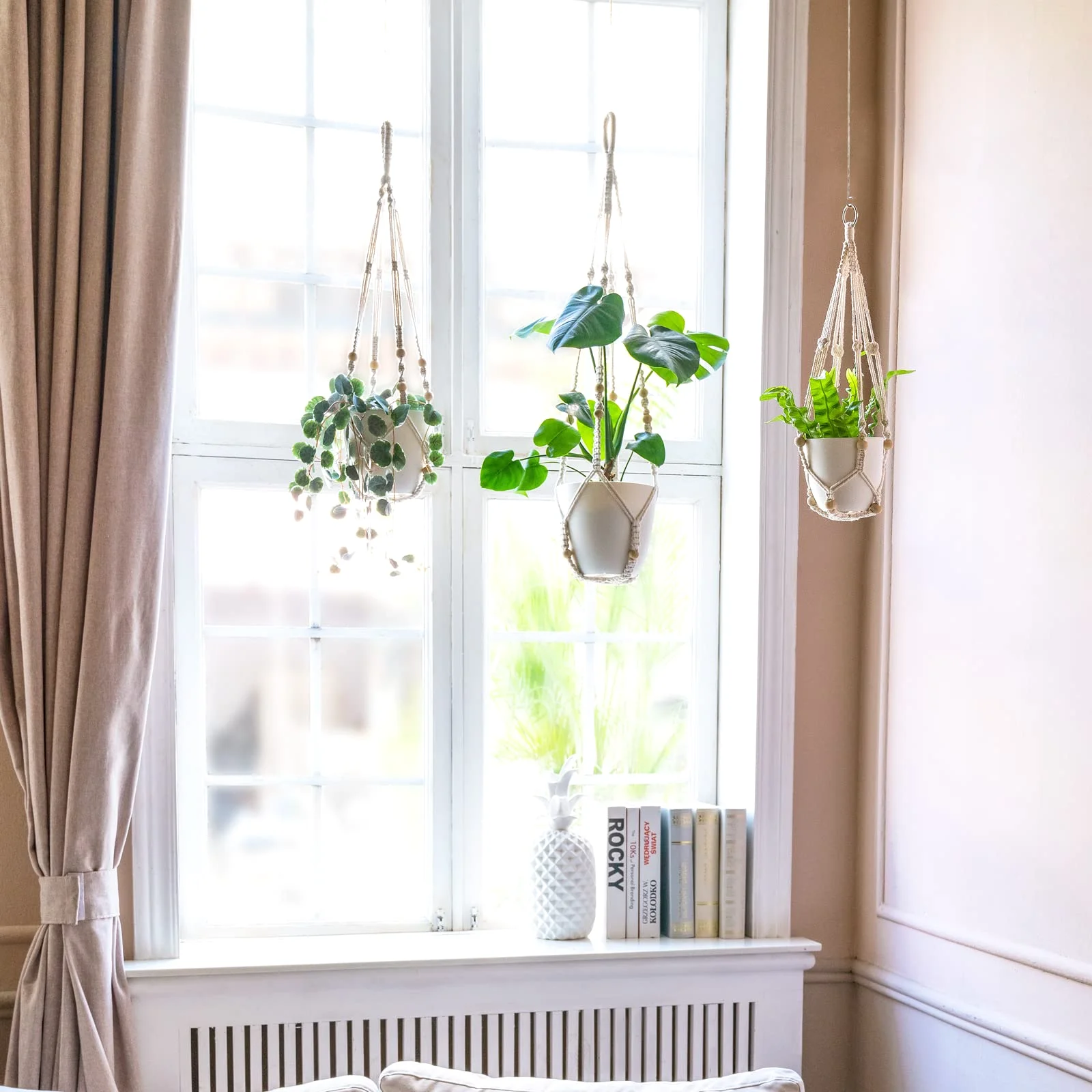 Three macrame hangers with plants across a window in a lit room