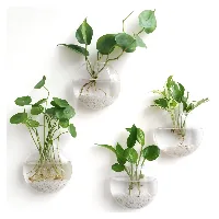 Wall Propagation Planter, 4-pack, Clear