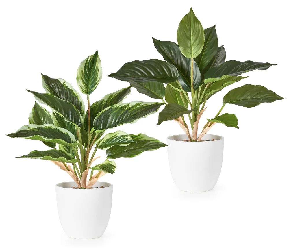 Fake Plants, 11 in, 2-pack, White