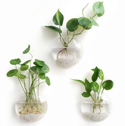 Wall Propagation Planter, 3-pack, Clear