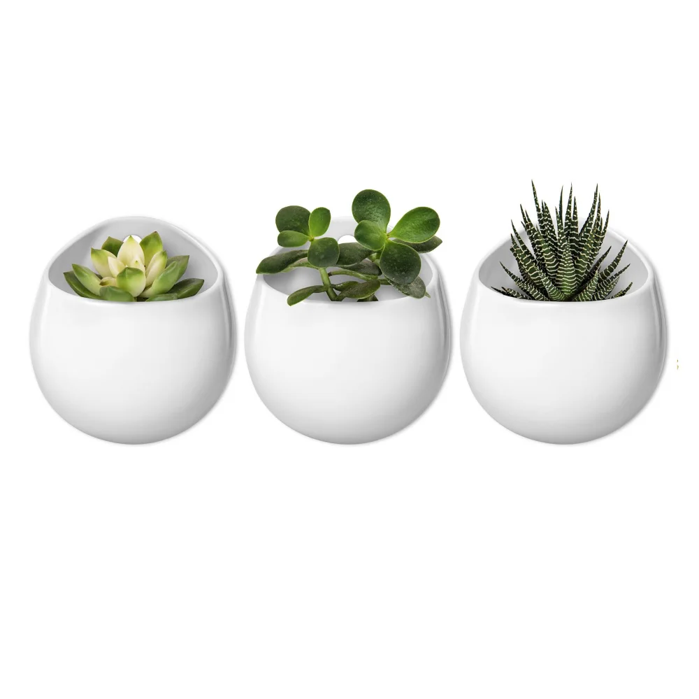Ceramic Wall Planter, 4 in, 3-pack, White